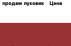 продам пуховик › Цена ­ 2 500 - Ростовская обл., Таганрог г. Одежда, обувь и аксессуары » Женская одежда и обувь   . Ростовская обл.,Таганрог г.